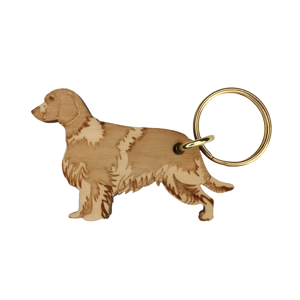 Walesinspringerspanieli -avaimenperä