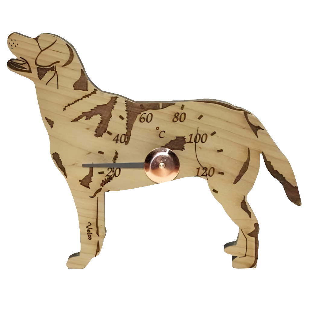 Labradorinnoutaja -saunamittari