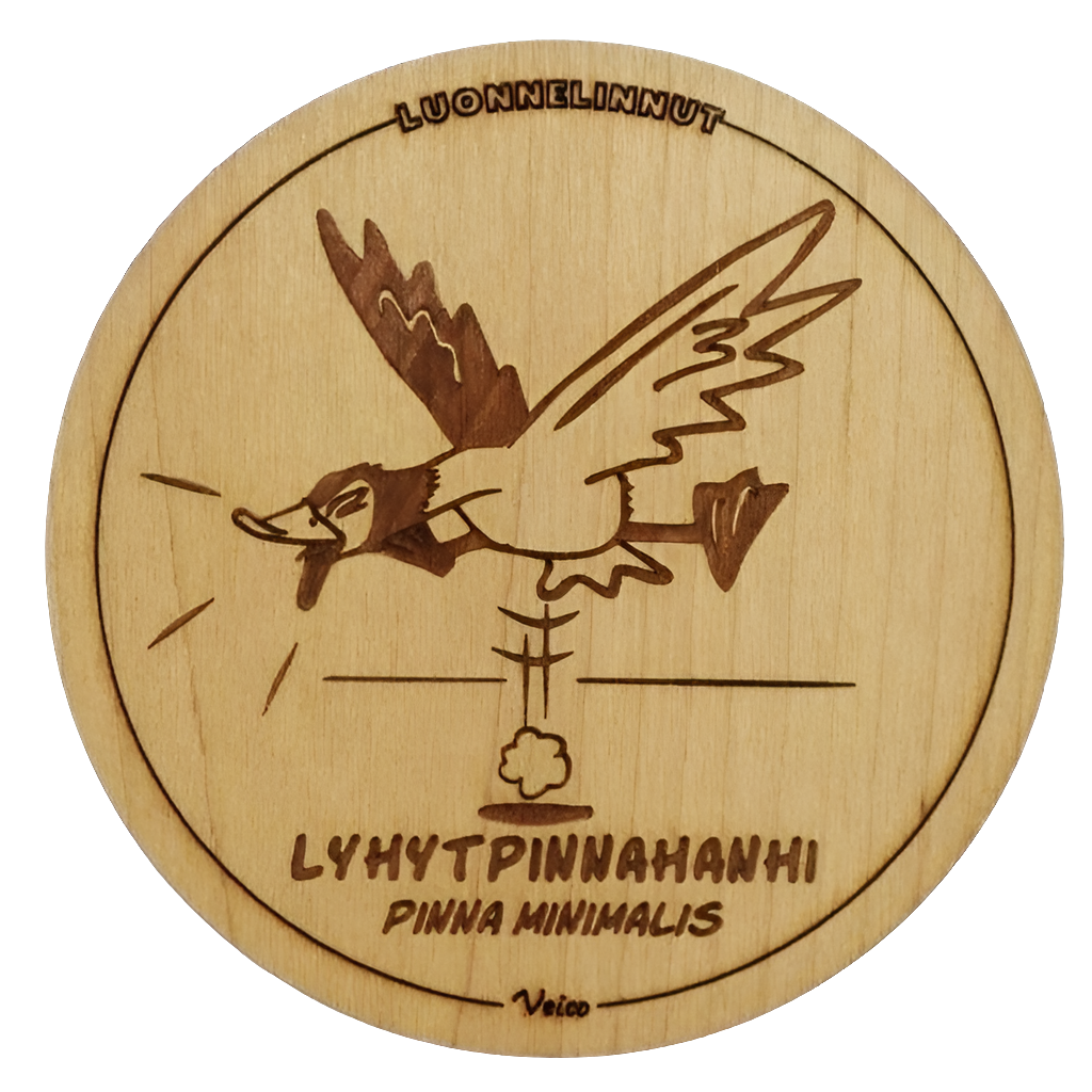 Lyhytpinnahanhi (Pinna minimalis) -alunen