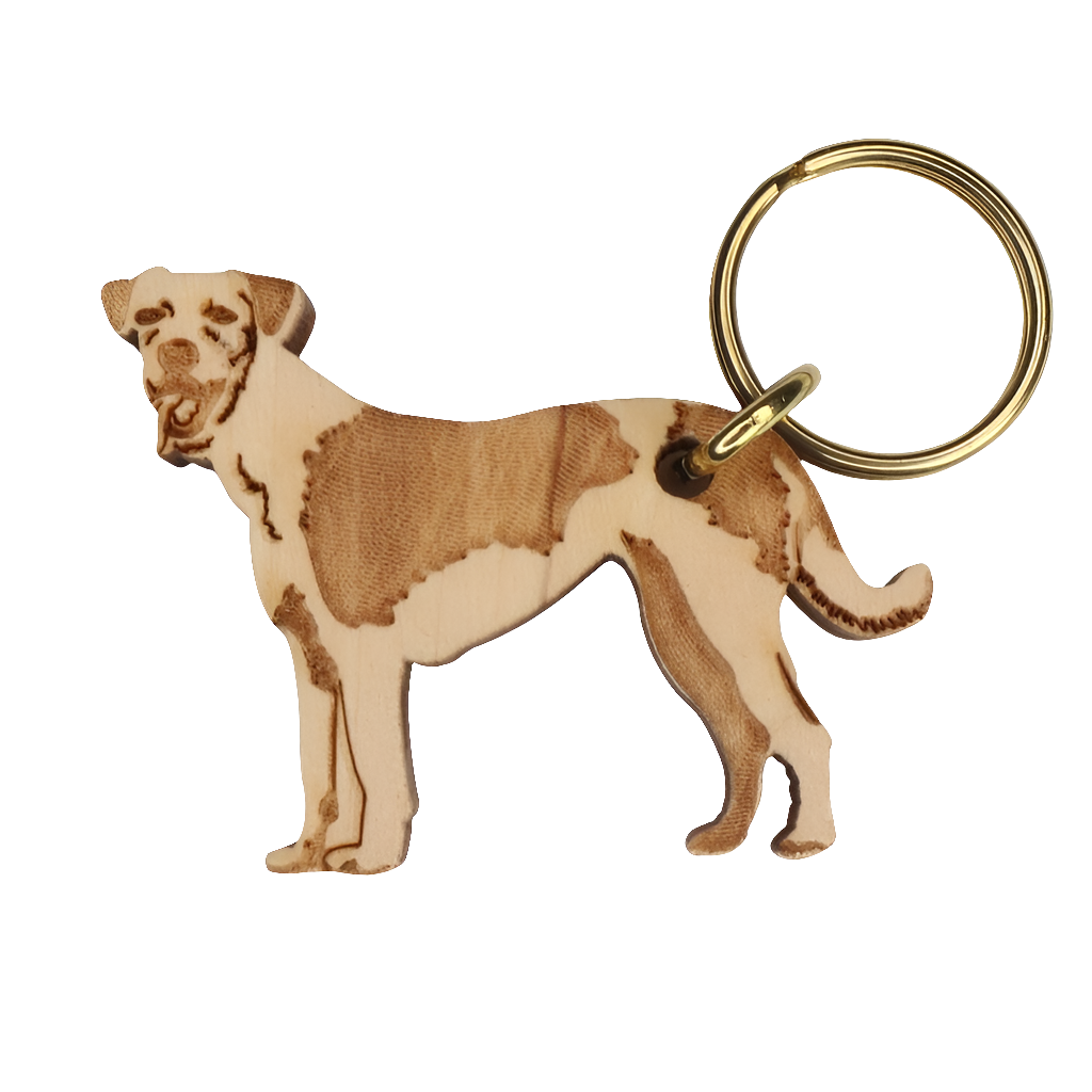 Kromfohrländer -avaimenperä