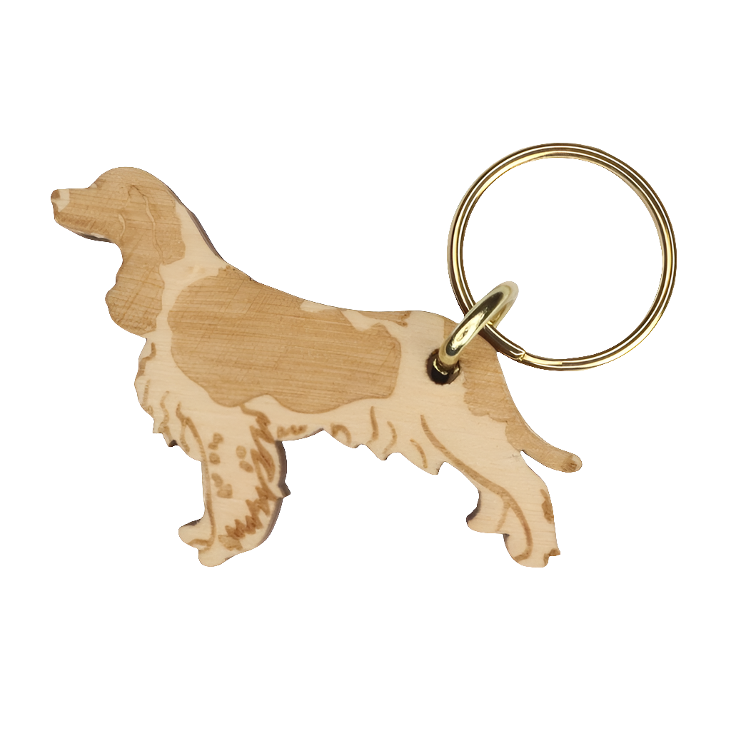 Englanninspringerspanieli -avaimenperä