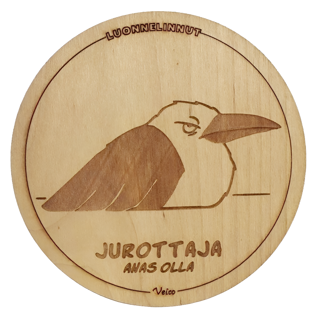 Jurottaja (Anas olla) -alunen