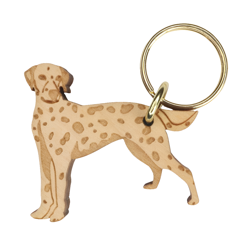 Dalmatiankoira -avaimenperä