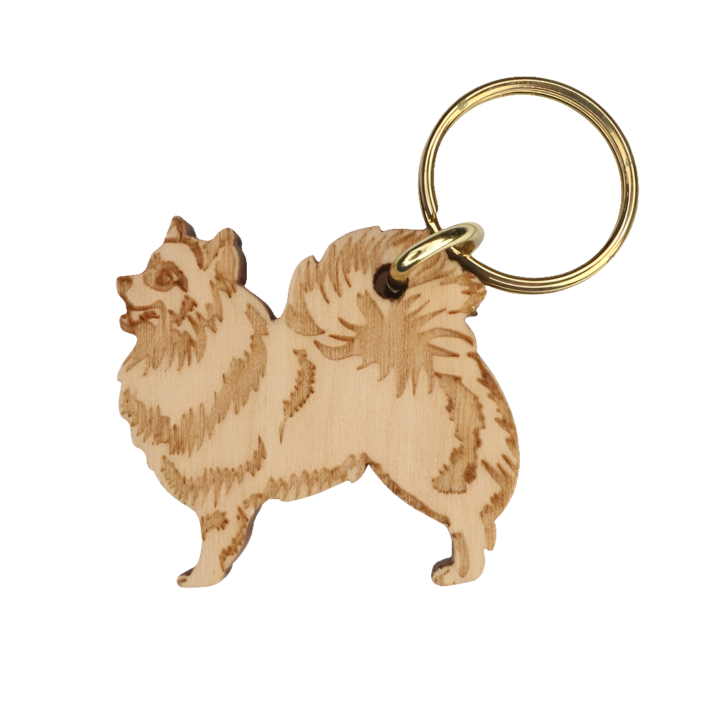 Kleinspitz -avaimenperä