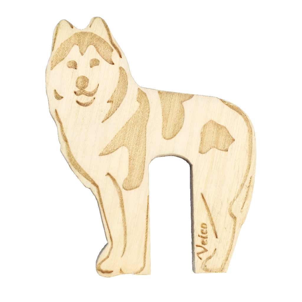 Siperianhusky -patavahti