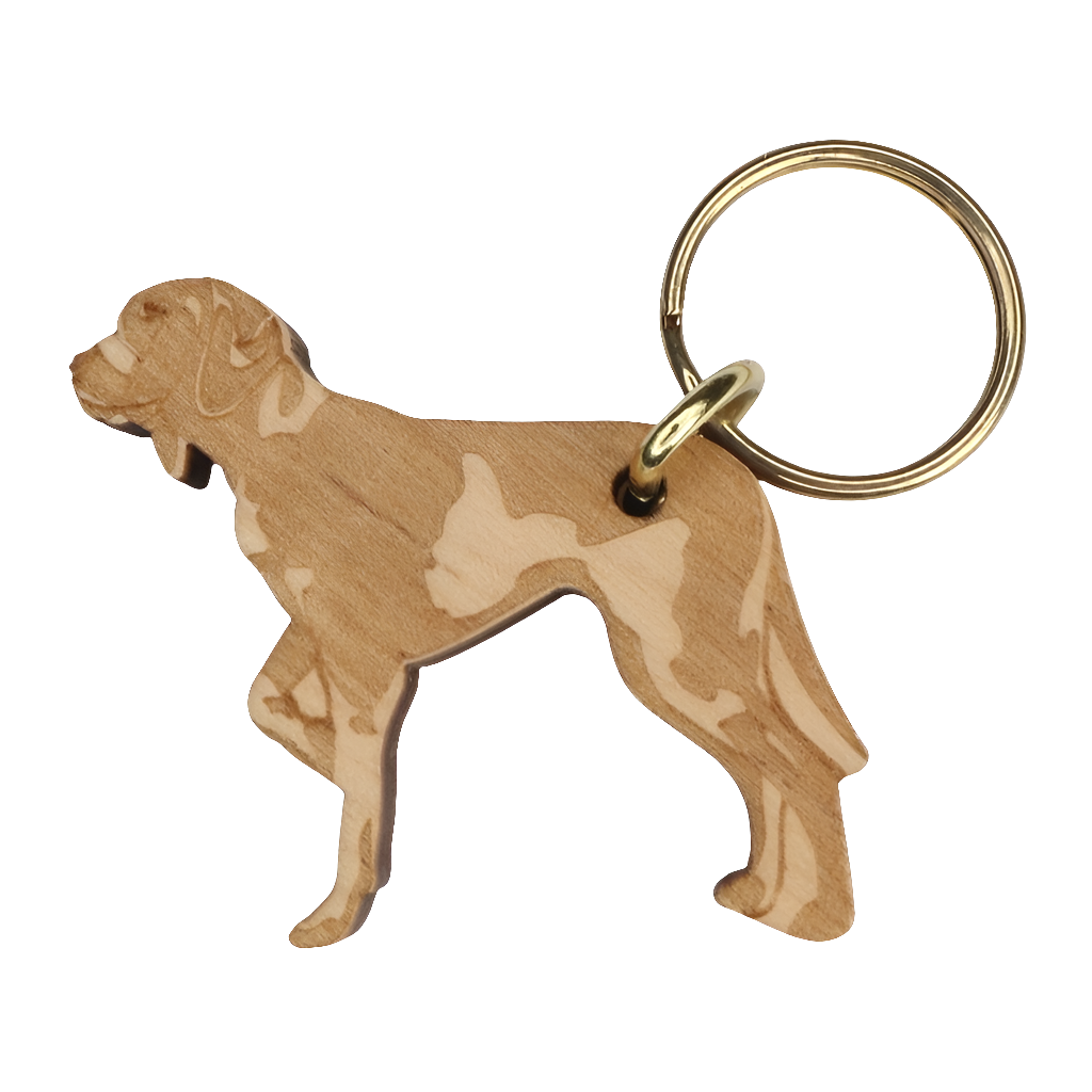 Saksanseisoja lyhytkarvainen -avaimenperä