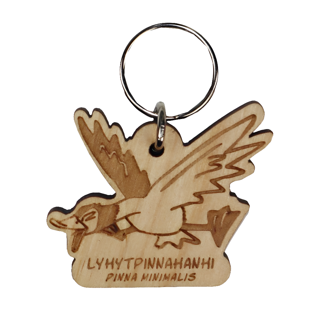 Lyhytpinnahanhi (Pinna minimalis) -avaimenperä