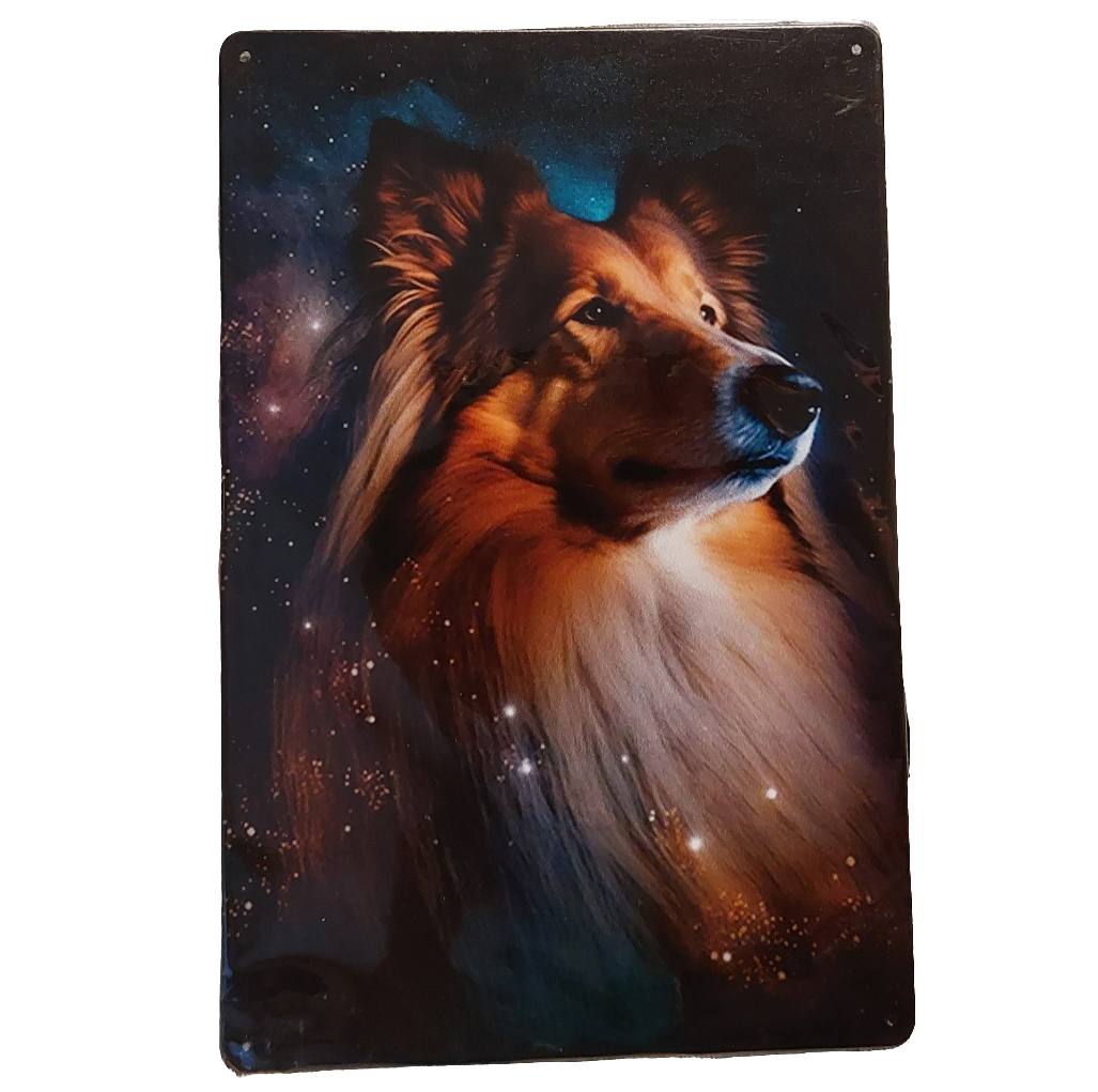 Collie pitkäkarvainen -peltikyltti