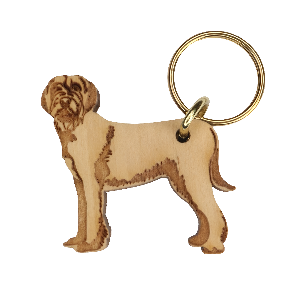 Spinone -avaimenperä