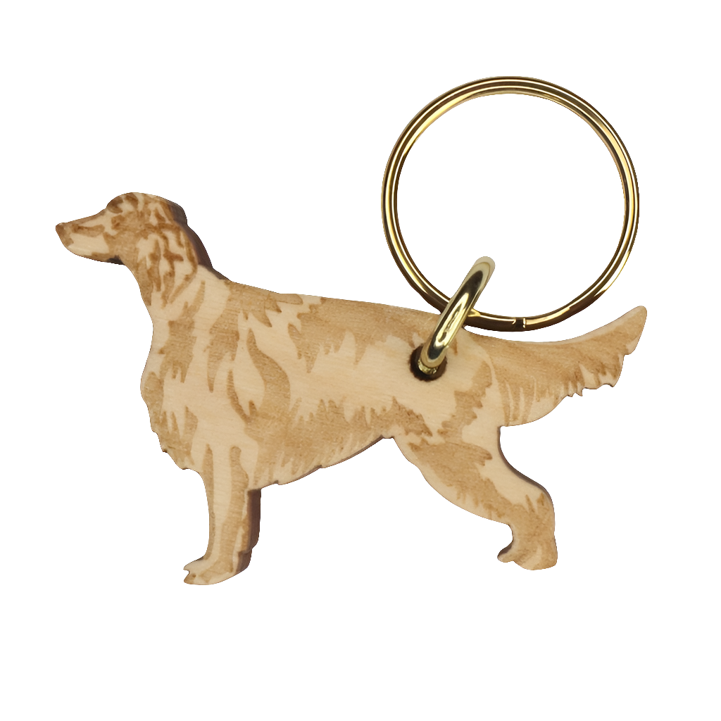 Irlanninsetteri -avaimenperä