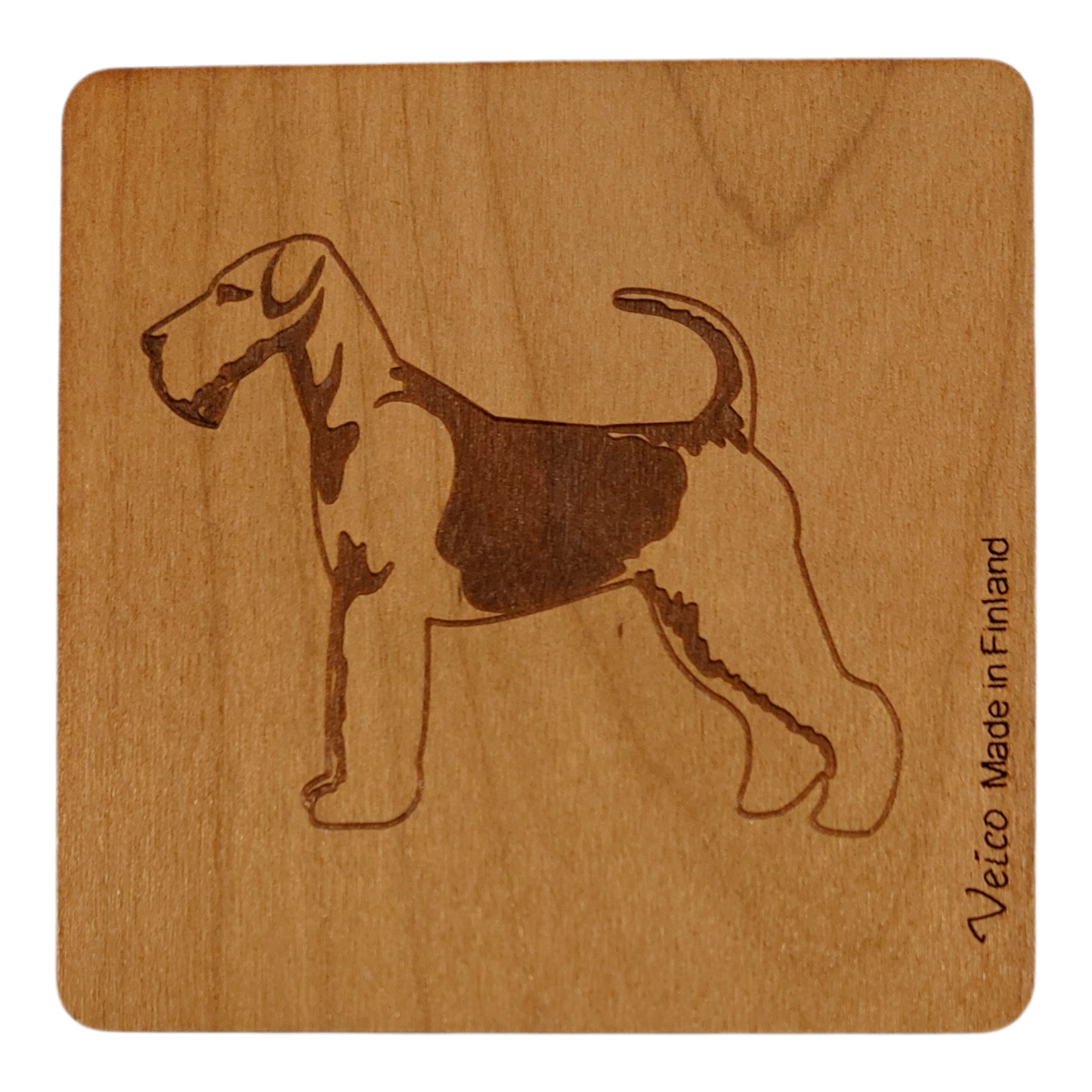 Airedalenterrieri -alunen