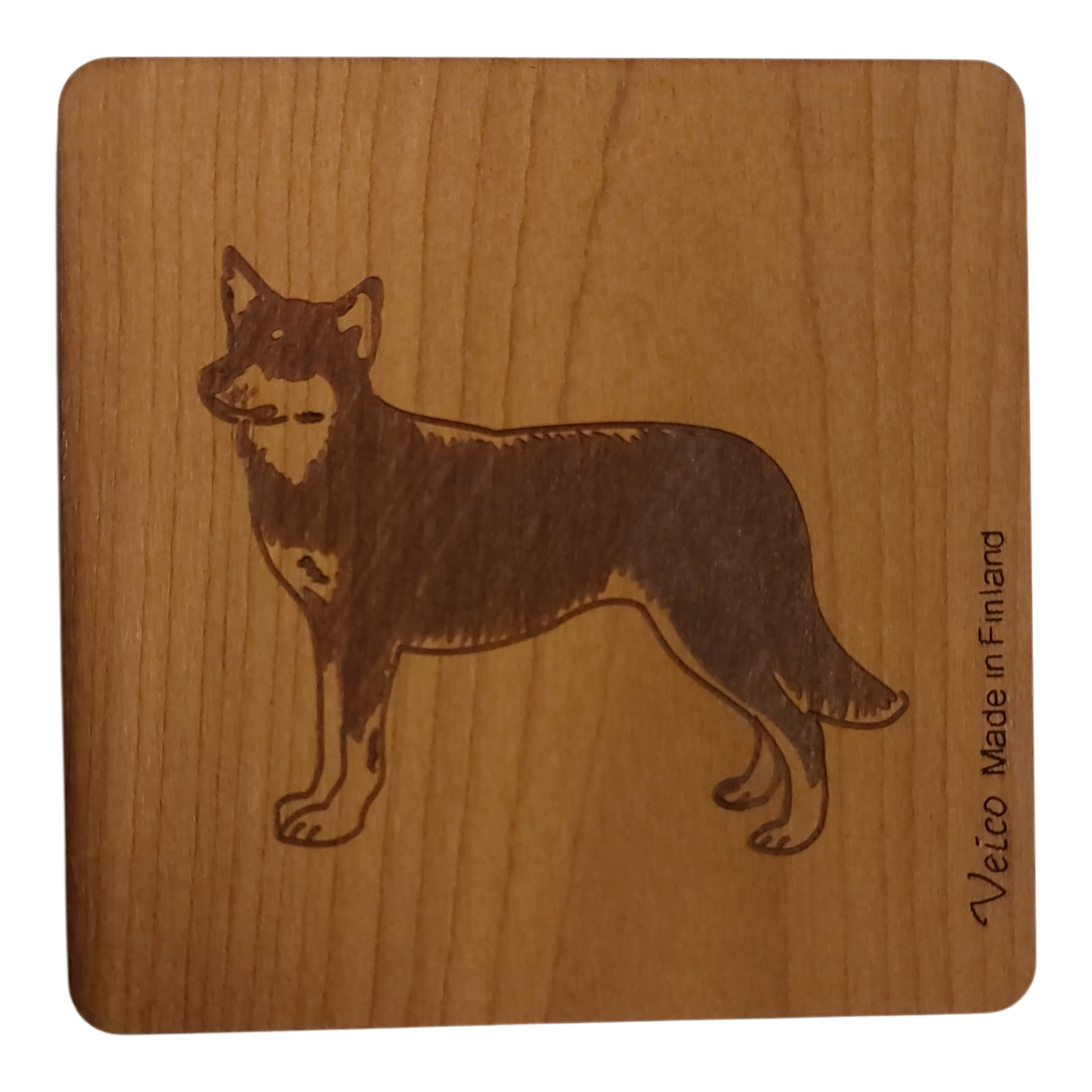 Lapinporokoira- alunen