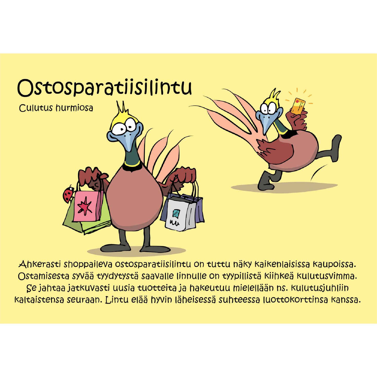 Ostosparatiisilintu (Culutus hurmiosa) -postikortti
