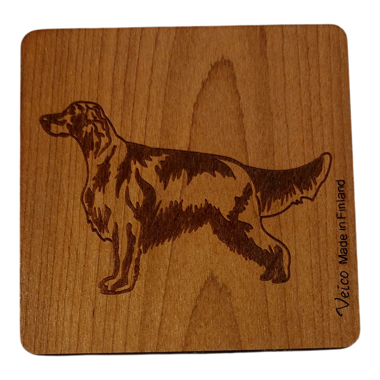 Irlanninsetteri -alunen