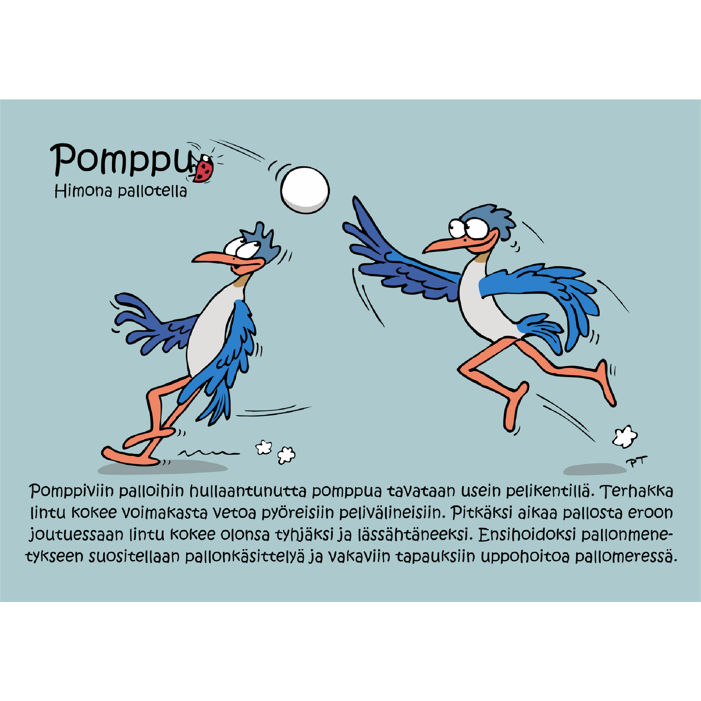Pomppu (Himona pallotella) -postikortti