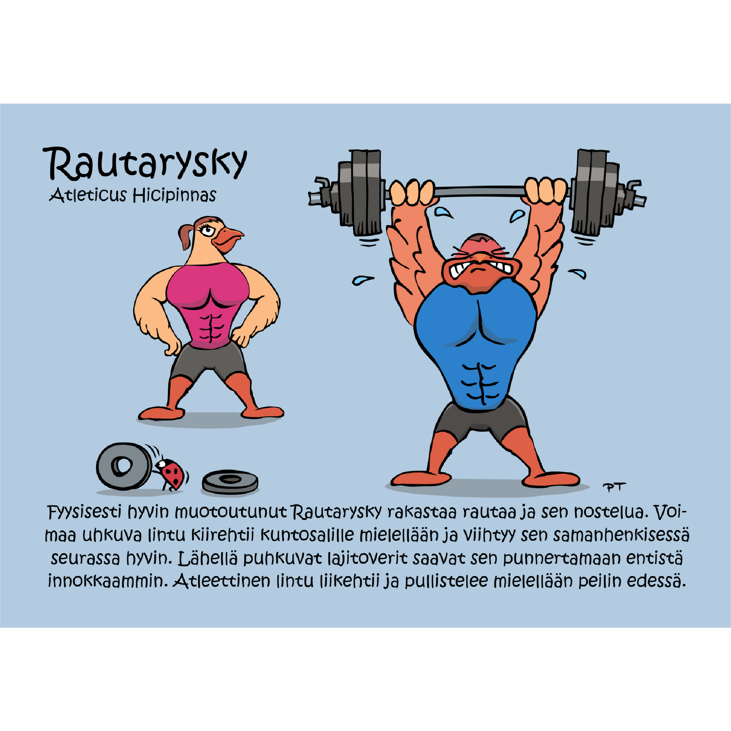 Rautarysky (Atleticus hicipinnas) -postikortti