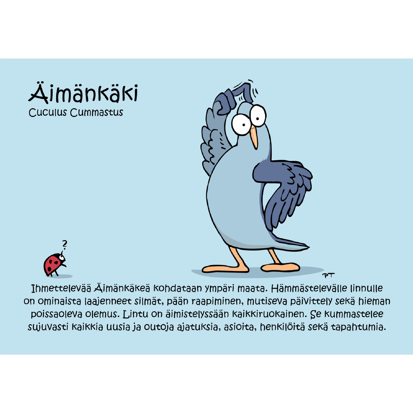 Äimänkäki (Cuculus Cummastus) -postikortti