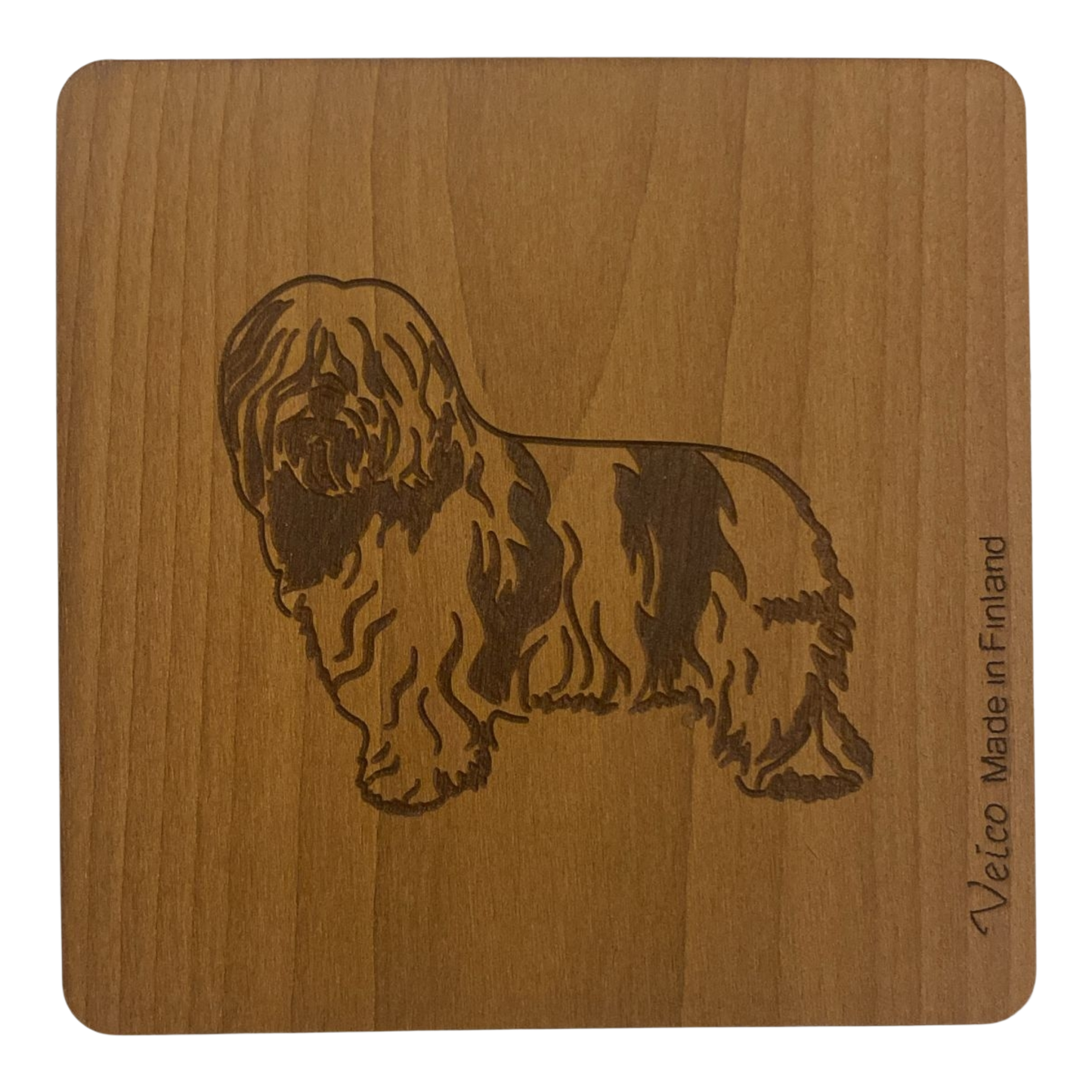 Puolan alankopaimenkoira -alunen