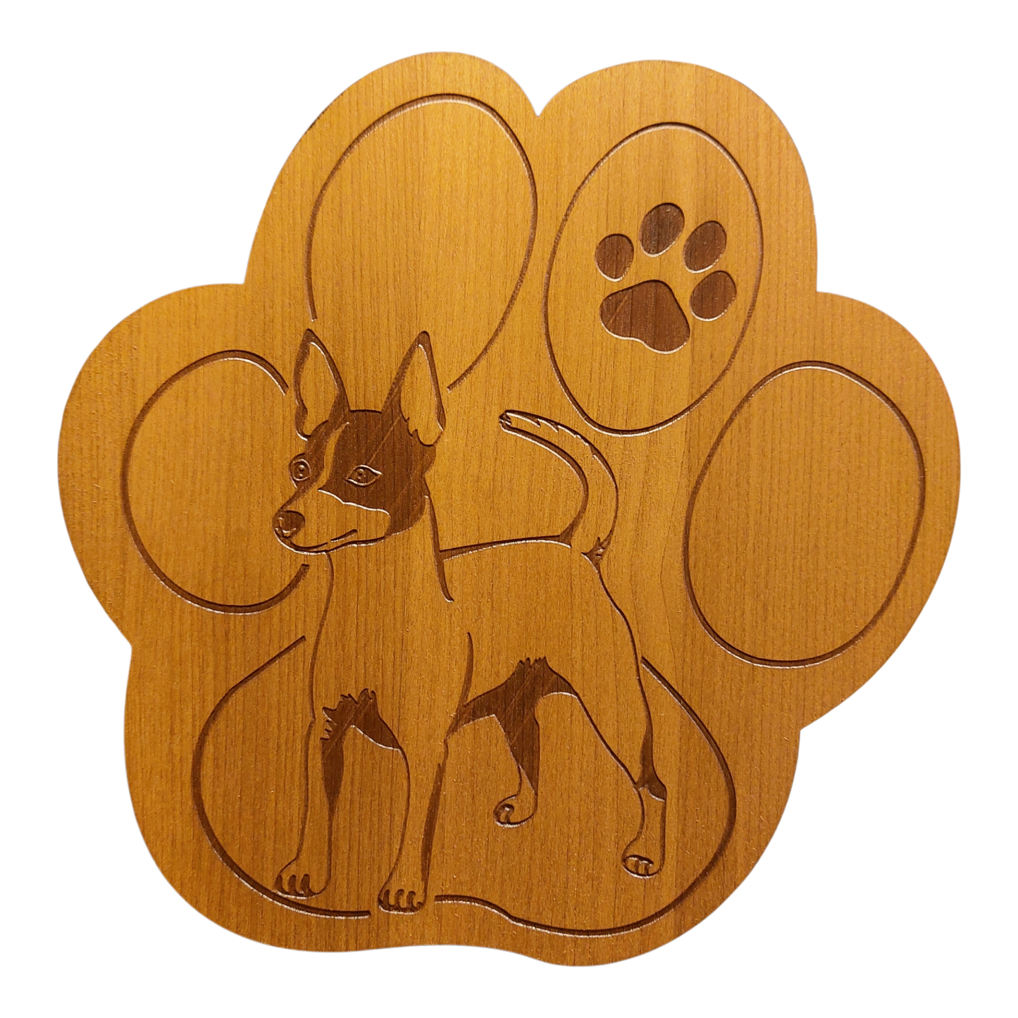 Amerikankääpiökettuterrieri -pannunalunen