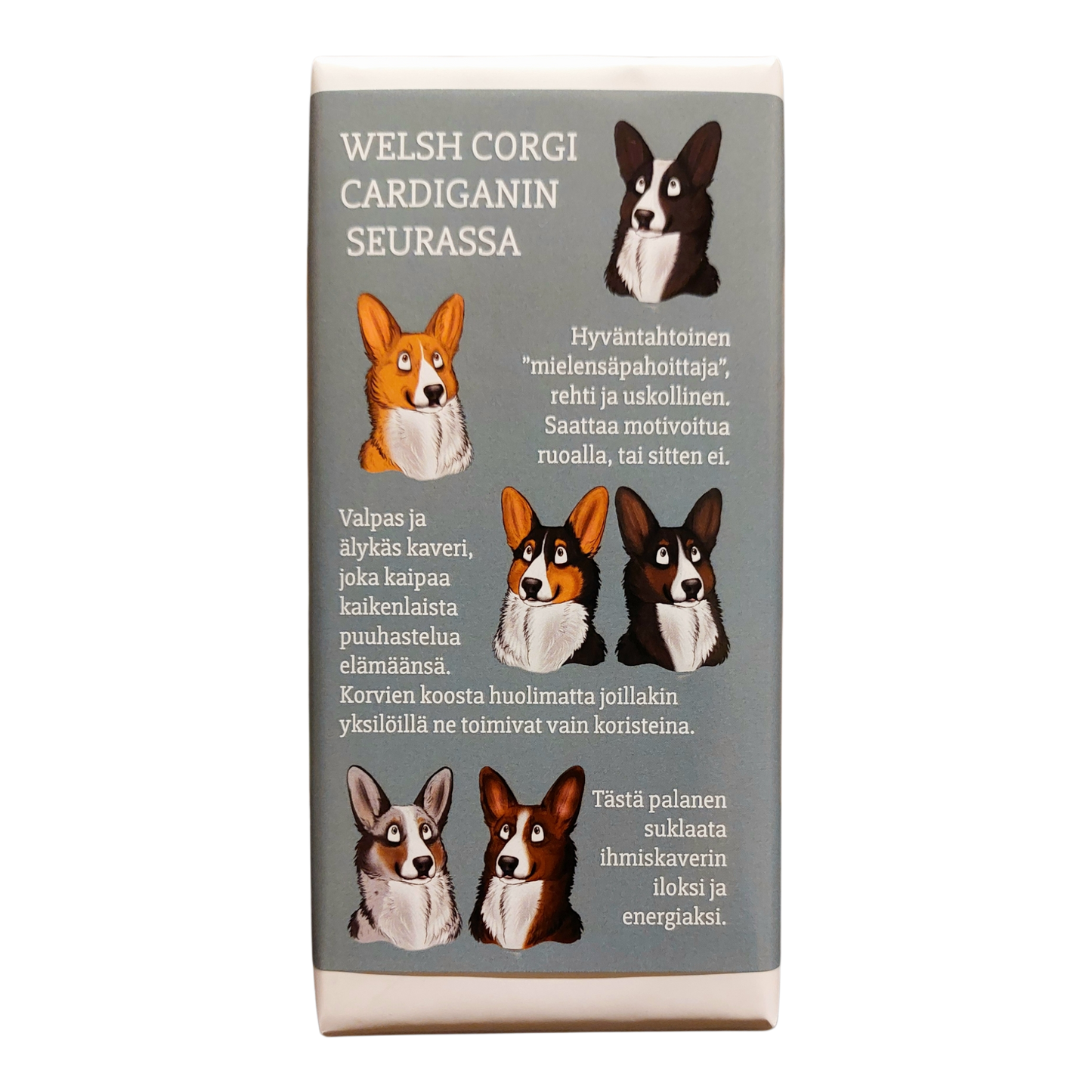 Welsh corgi cardiganin seurassa -suklaa 100g