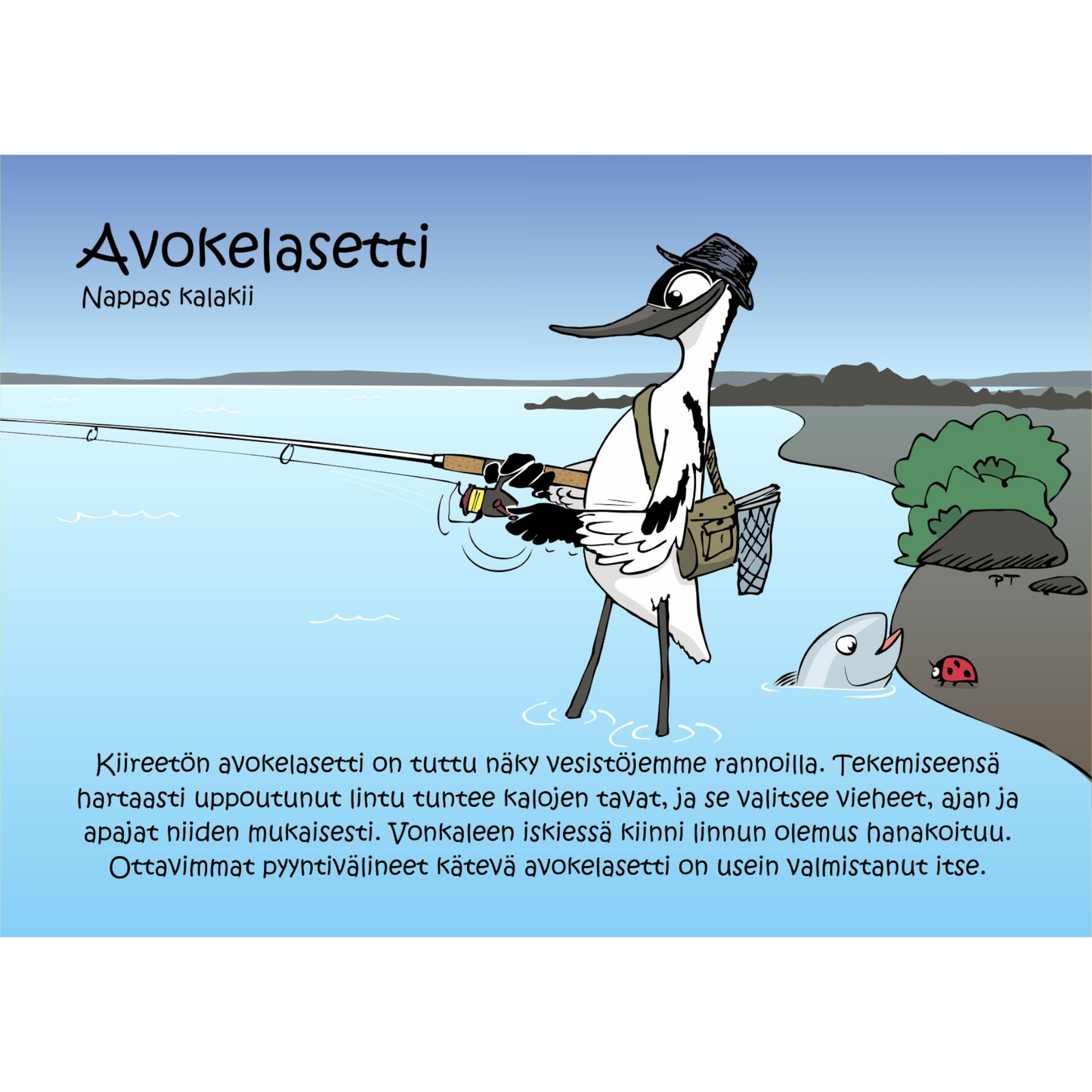 Avokelasetti (Nappas Kalakii) -postikortti