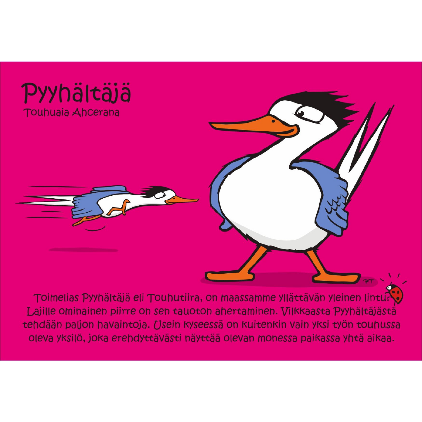 Pyyhältäjä (Touhuaia Ahcerana) -postikortti