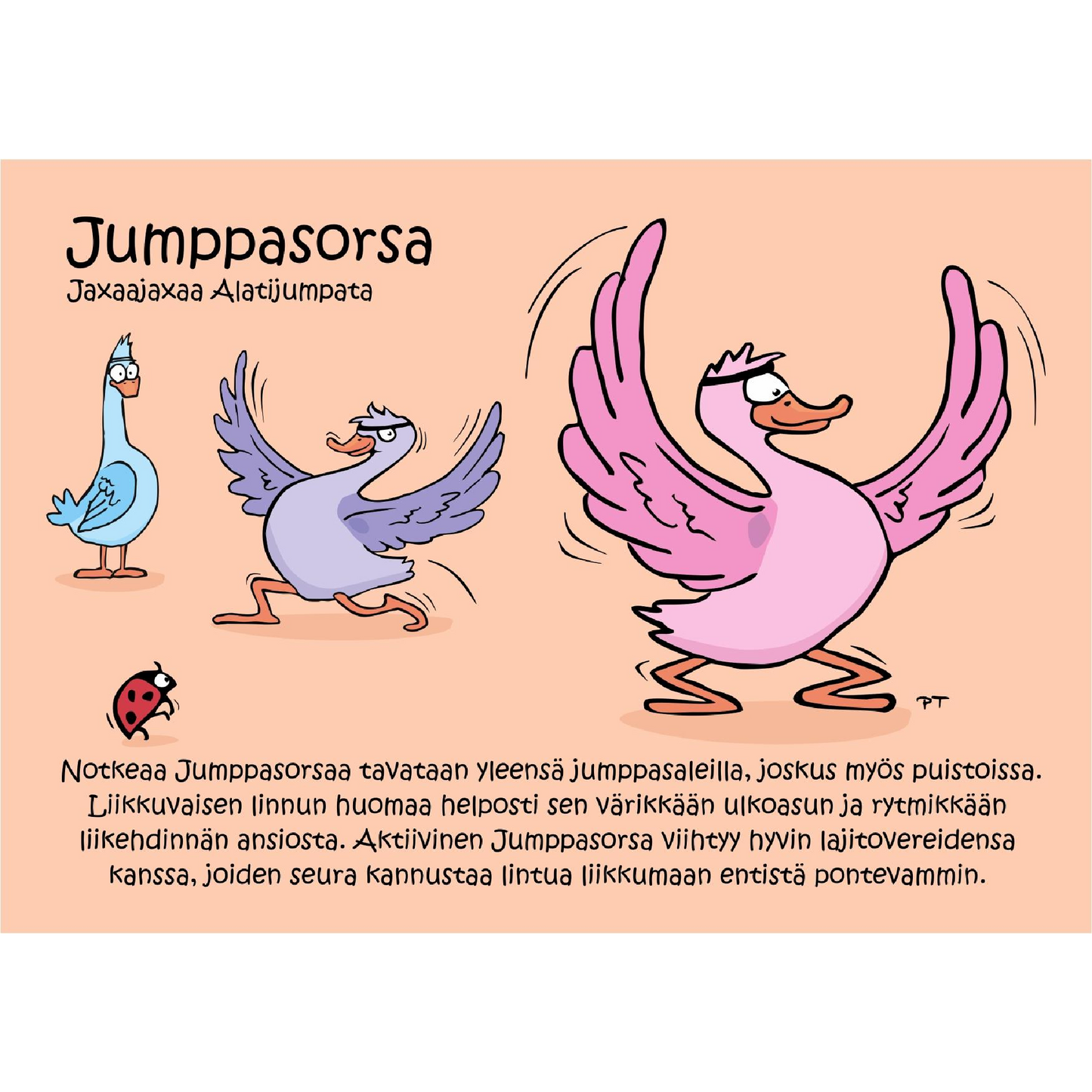 Jumppasorsa (Jaxaajaxaa Alatijumpata) -postikortti