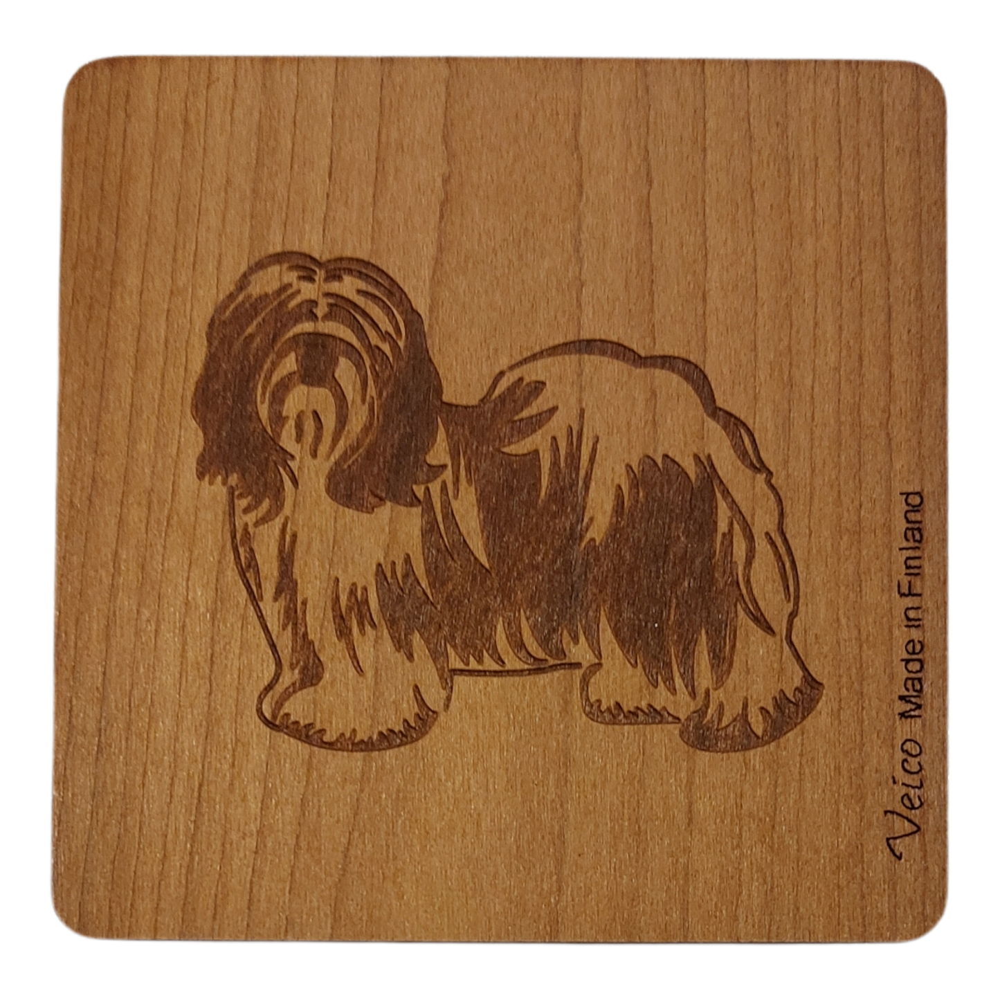 Tiibetinterrieri -alunen