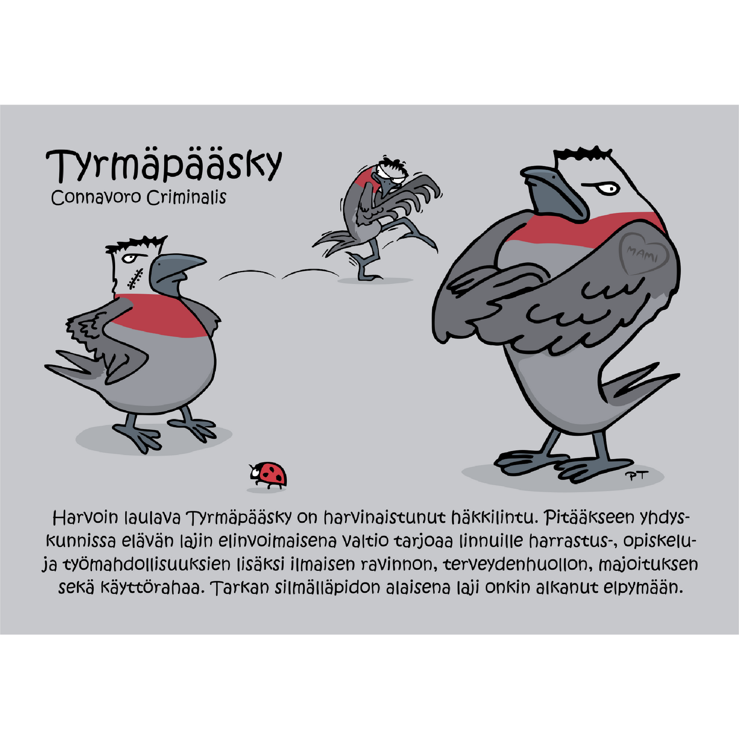 Tyrmäpääsky (Connavoro Criminalis) -postikortti