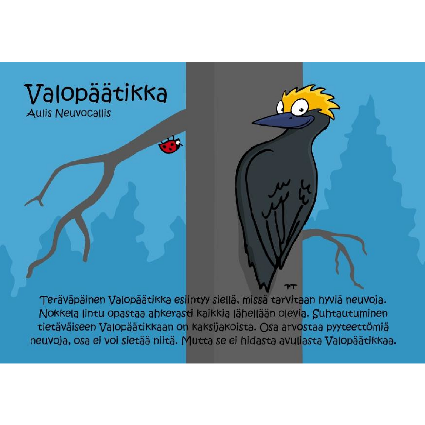 Valopäätikka (Aulis Neuvocallis) -postikortti