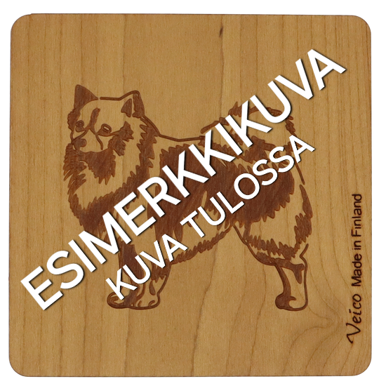 Collie lyhytkarvainen -alunen