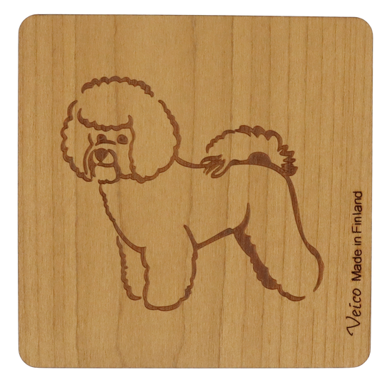 Bichon frisé -alunen
