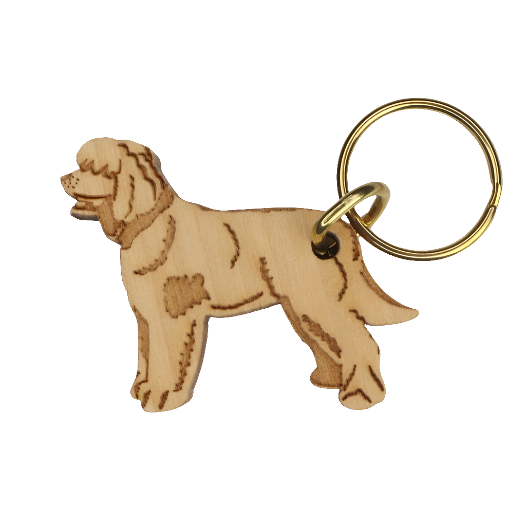 Irlanninvesispanieli -avaimenperä