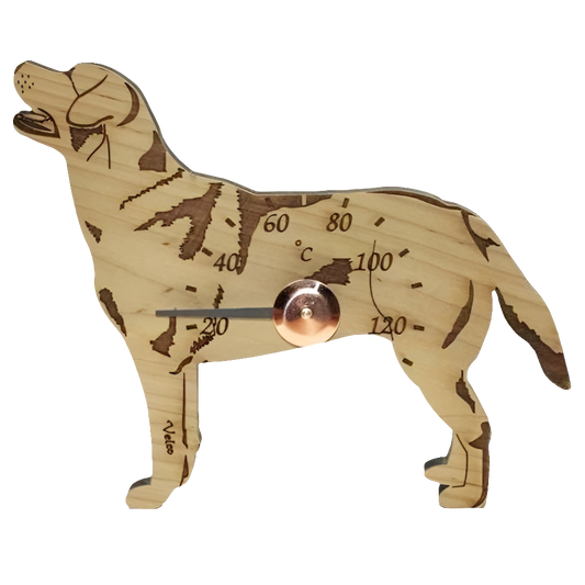 Labradorinnoutaja -saunamittari