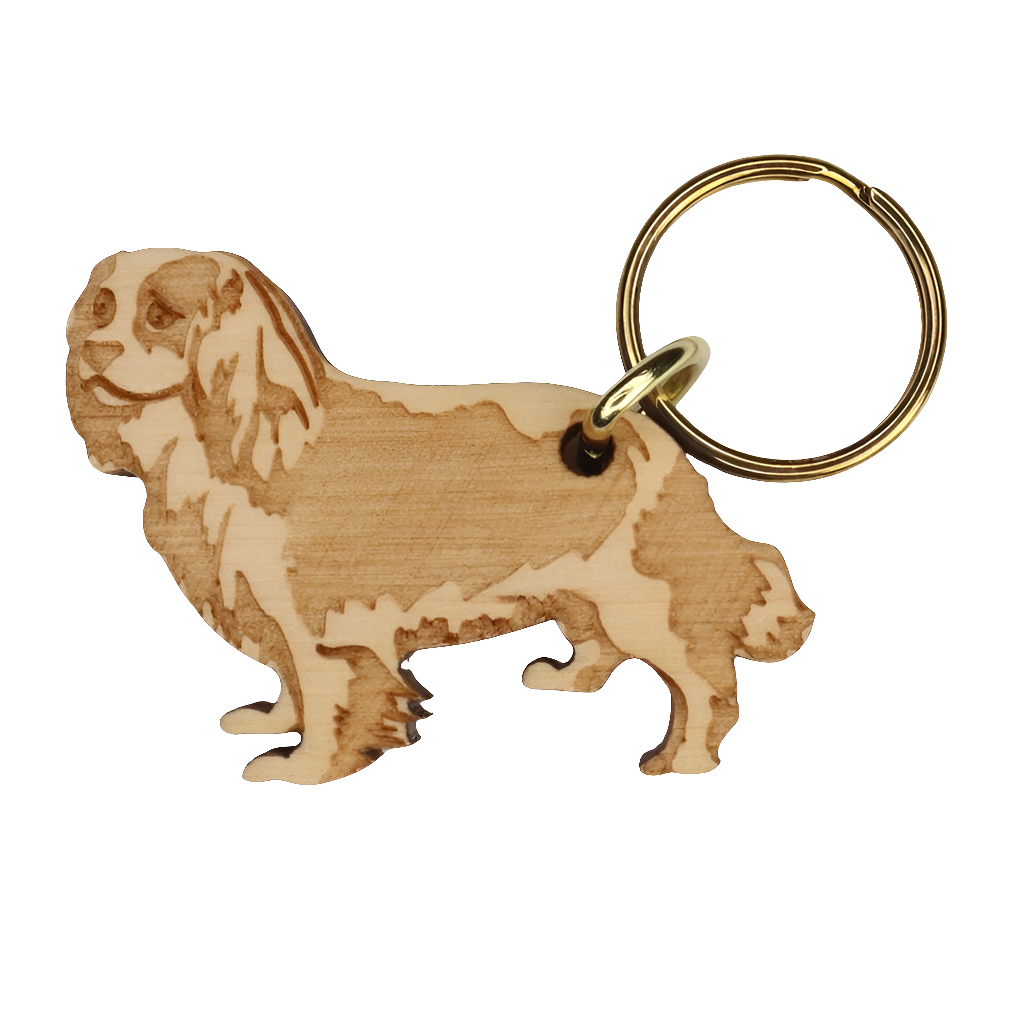 Cavalier Kingcharlesinspanieli -avaimenperä