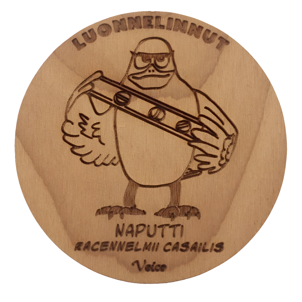 Naputti (Racennelmii casailis) -magneetti