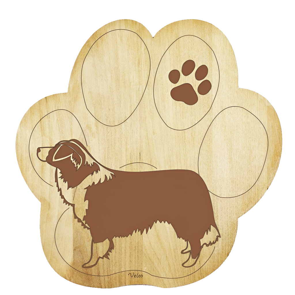 Bordercollie -pannunalunen