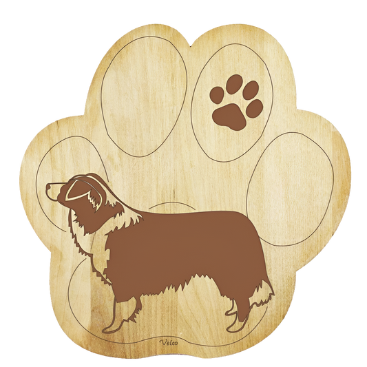 Bordercollie -pannunalunen