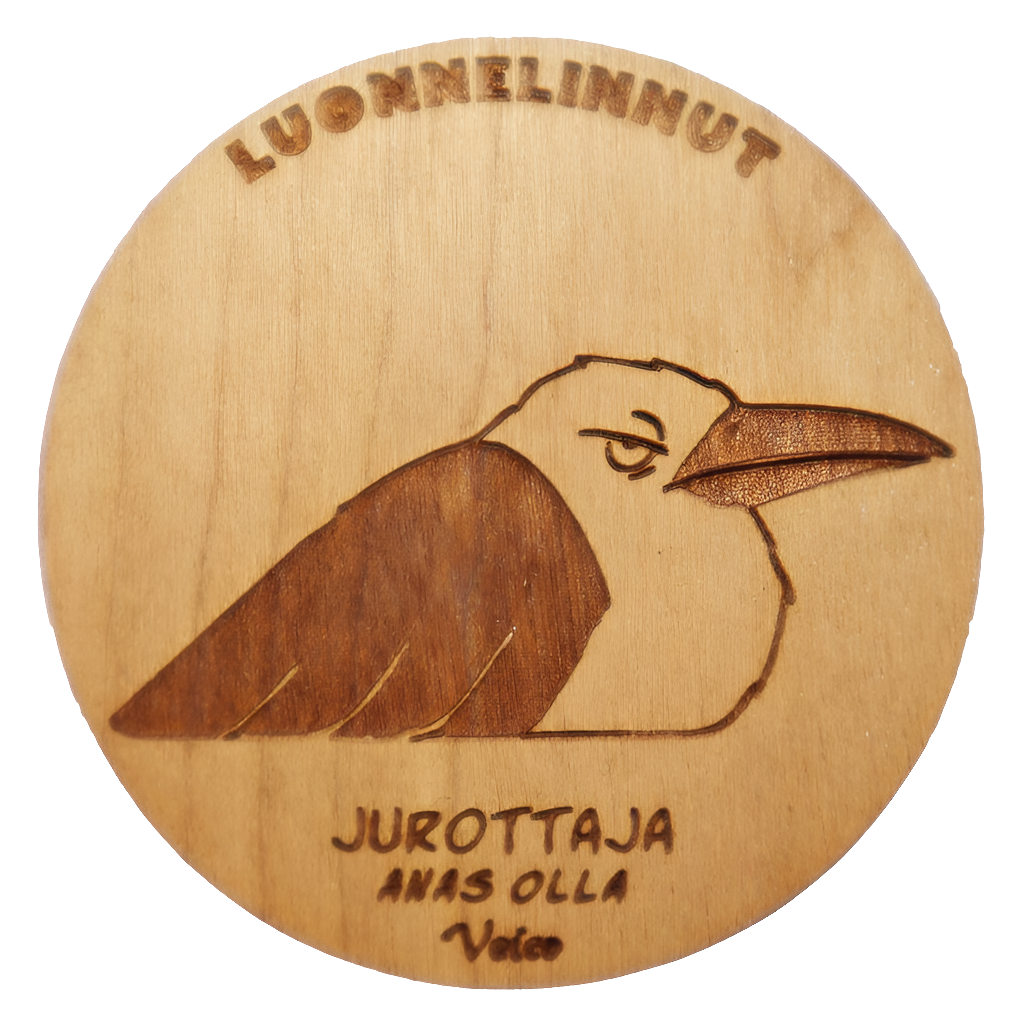 Jurottaja (Anas olla) -magneetti