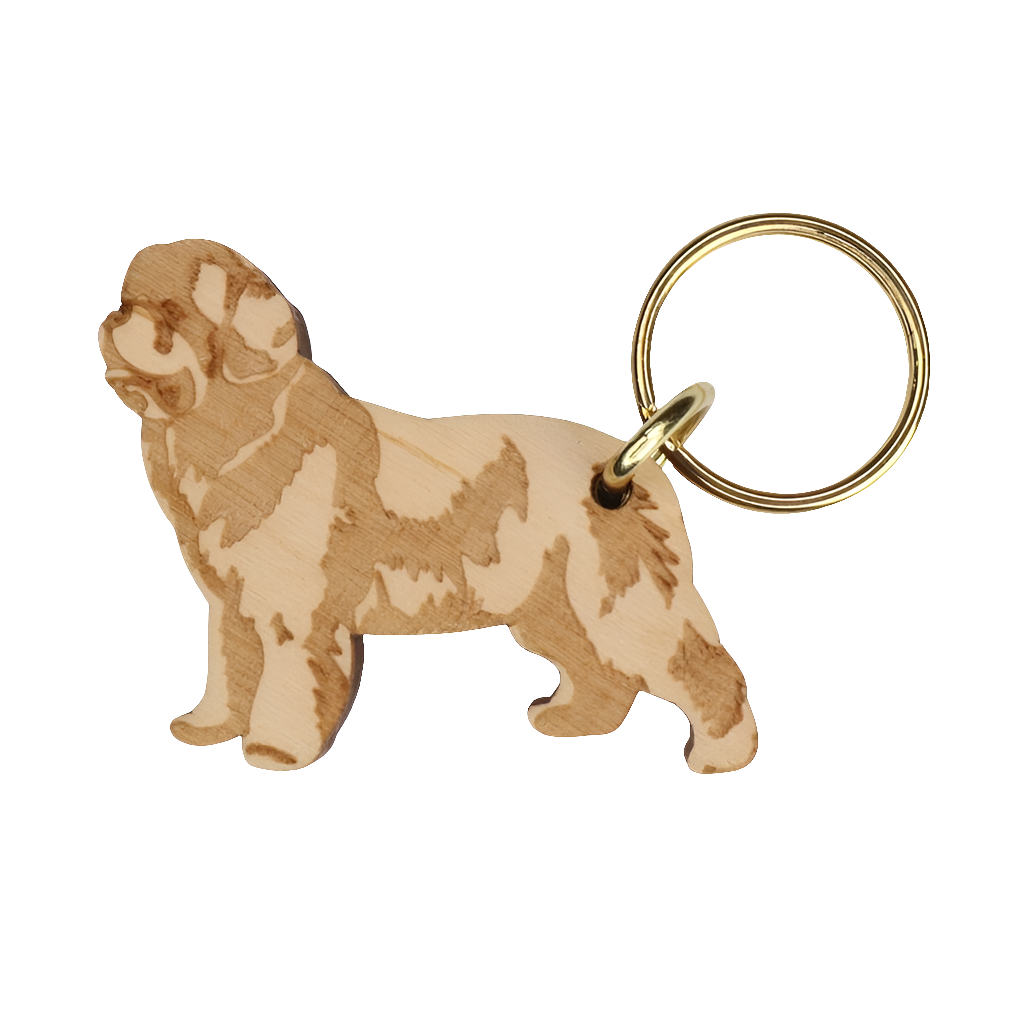 Newfoundlandinkoira -avaimenperä