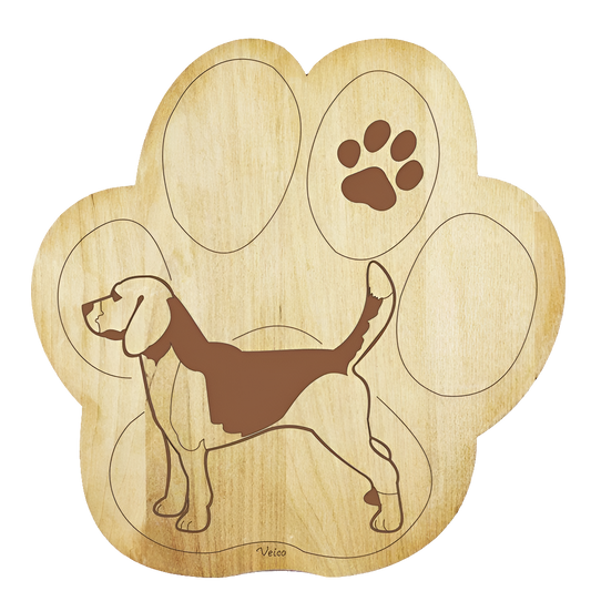 Beagle -pannunalunen