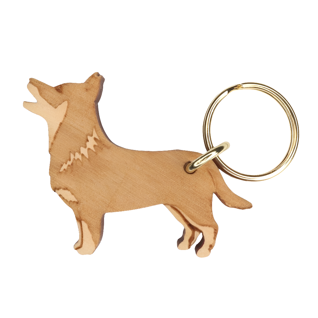 Lancashire heeler -avaimenperä