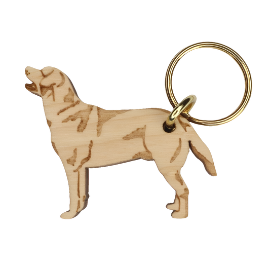 Labradorinnoutaja -avaimenperä