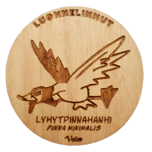 Lyhytpinnahanhi (Pinna minimalis) -magneetti