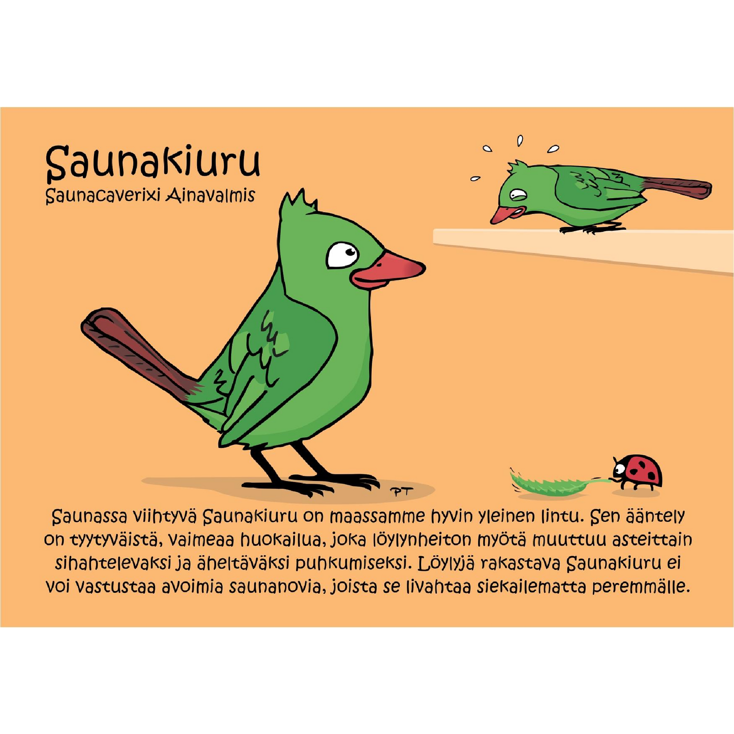 Saunakiuru (Saunacaverixi Ainavalmis) -postikortti