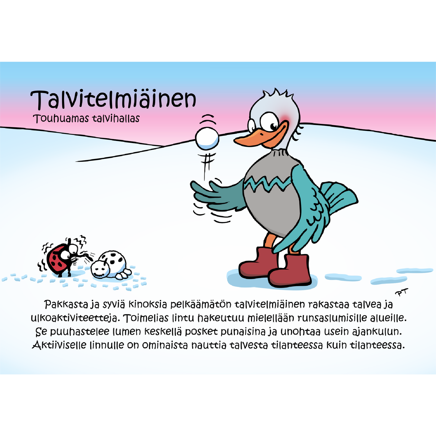 Talvitelmiäinen (Touhuamas talvihallas) -postikortti