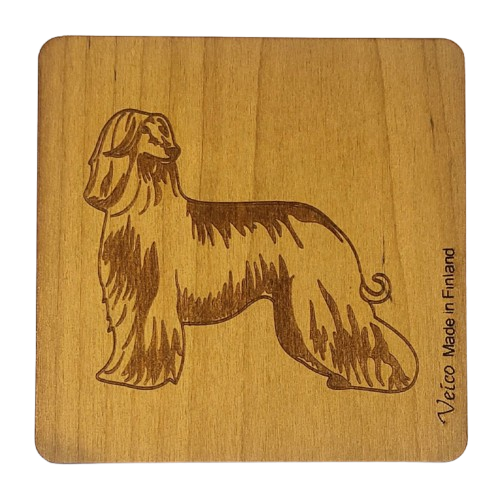 Afgaaninvinttikoira -alunen