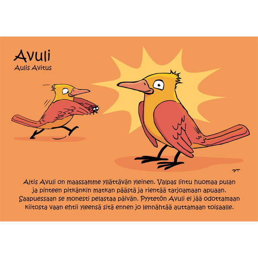 Avuli (Aulis Avitus) -postikortti