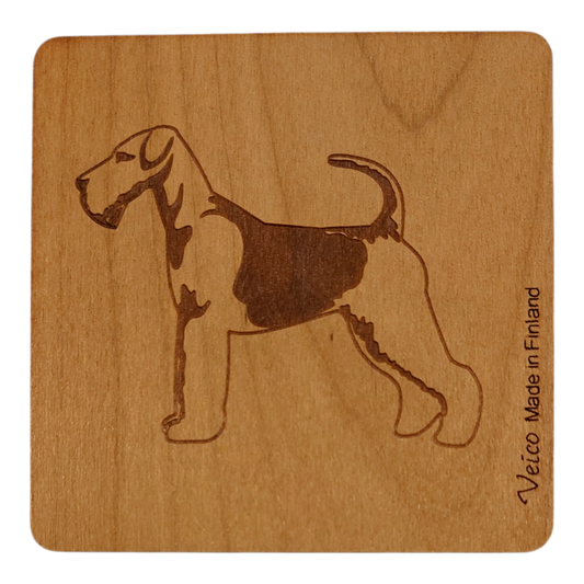 Airedalenterrieri -alunen