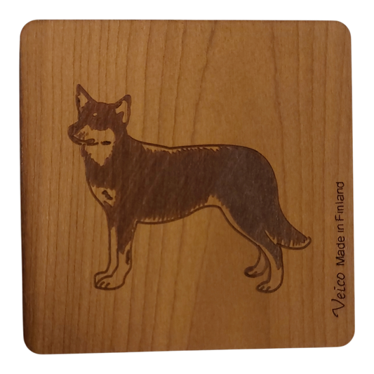 Lapinporokoira- alunen